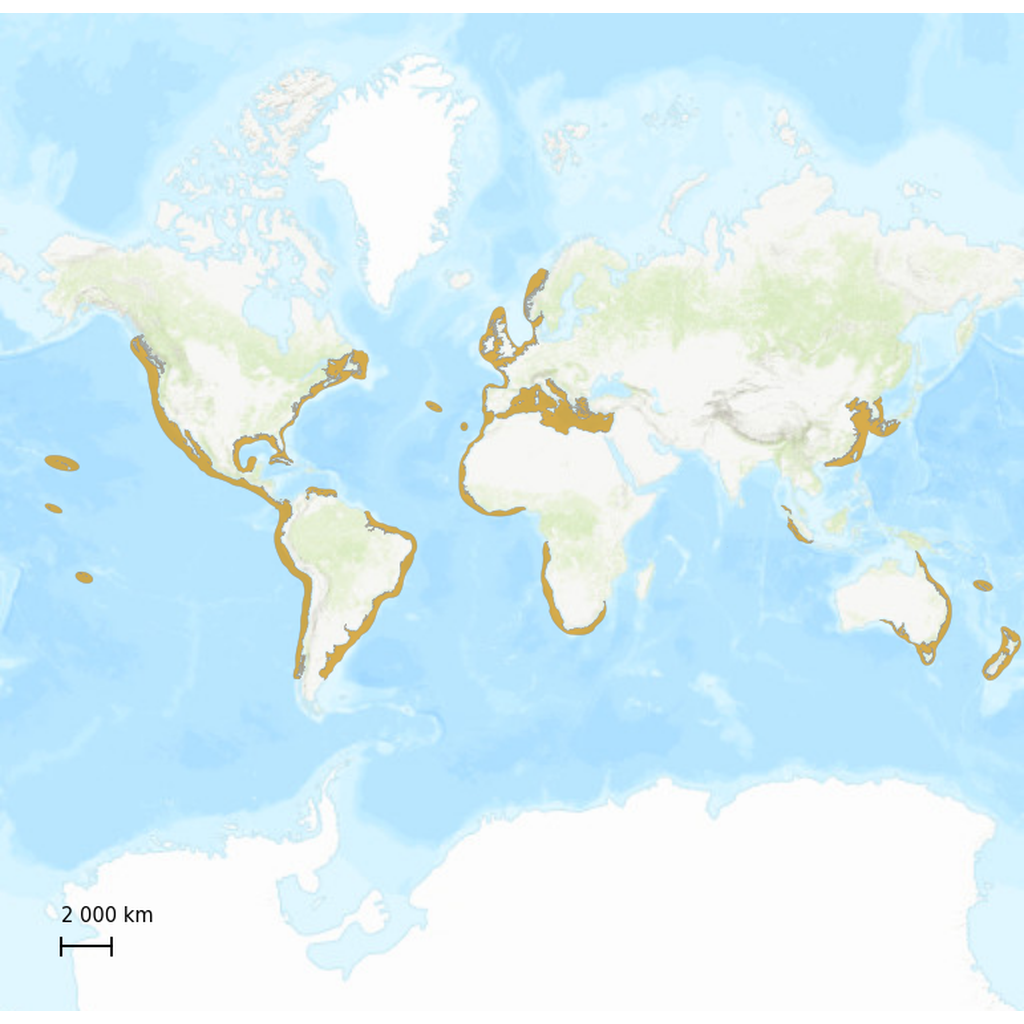 Tiles (C) Esri -- Esri, DeLorme, NAVTEQ, TomTom, Intermap, iPC, USGS ...