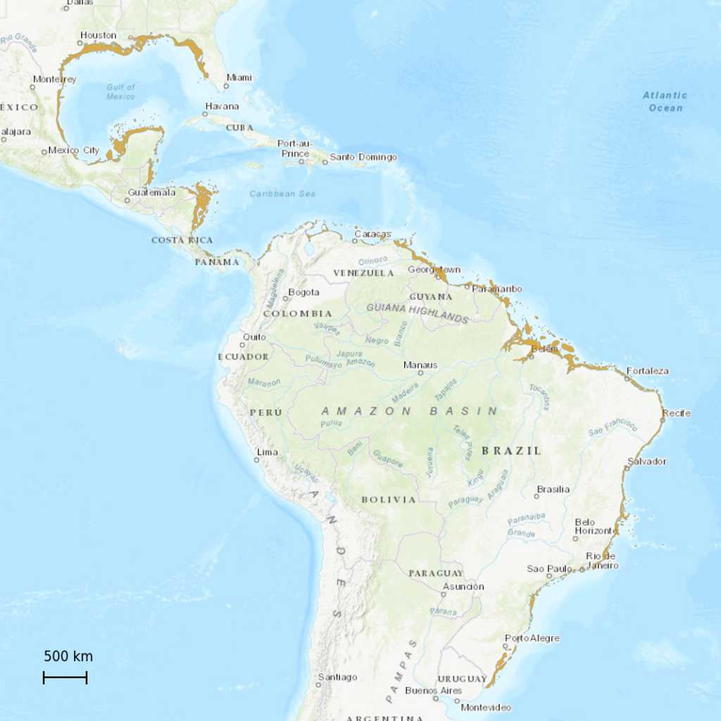 The Rhinogs Map IUCN Red List PDF HTML - Rhinoptera brasiliensis